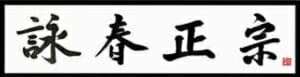 Wing Chun Tilburg